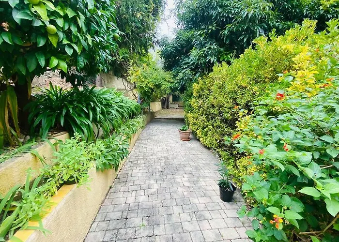 Maracudja 125 M² Hébergement de vacances